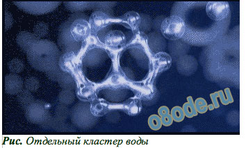Россион Дельфин структурирование воды