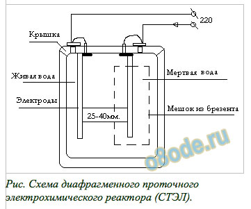 Россион Дельфин структурирование воды