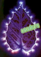 Kirlian Effect in the Study of Properties Water