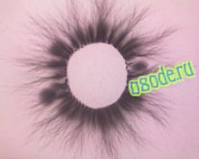 Kirlian Effect in the Study of Properties Water
