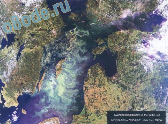 Доклад: Проблемы Балтийского моря
