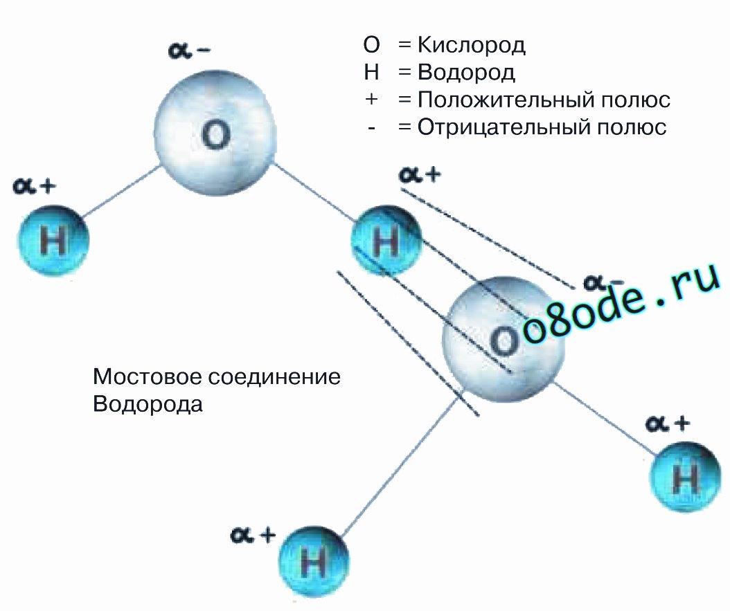 Водородные соединения образуются. Строение воды 2 атома водорода. Образование молекулы воды. Строение воды. Молекулы воды кислорода водорода.