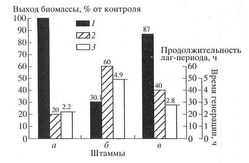 Доклад: Эволюция и самоорганизация химических систем. Макромолекулы и зарождение органической жизни