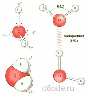 Структура воды